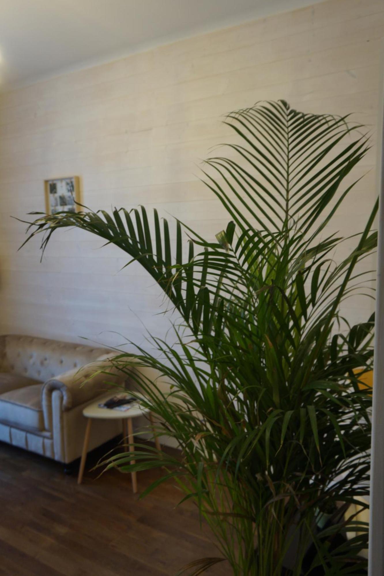 L'Experience Appartement & Spa Prive شامبيري المظهر الخارجي الصورة